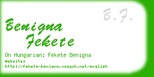 benigna fekete business card